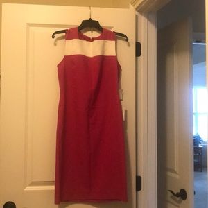 Anne Klein size 4 fuchsia shift dress